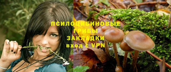 mdpv Беломорск