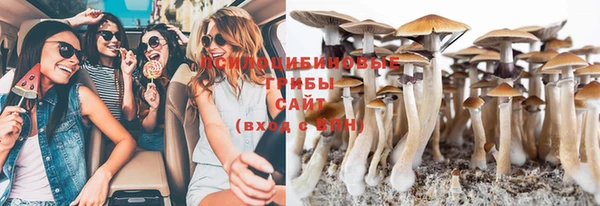 mdpv Белокуриха
