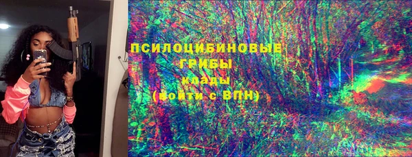 mdpv Белокуриха